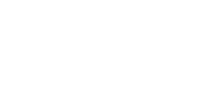 Degritter