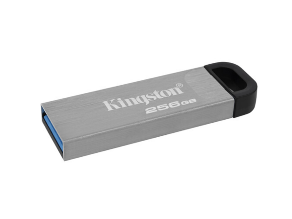 USB memorija KINGSTON DTKN256GBKyson3.2srebrna