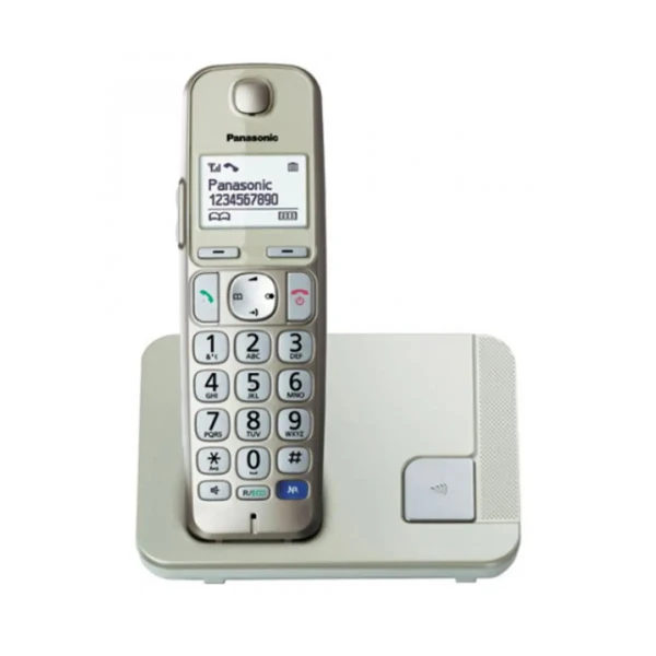 Telefon Panasonic KX-TGE210FXN