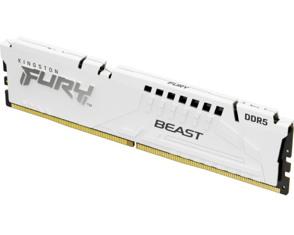 KINGSTON DIMM DDR5 16GB 5600MTs KF556C36BWE-16 Fury Beast White Expo (MEM02567)