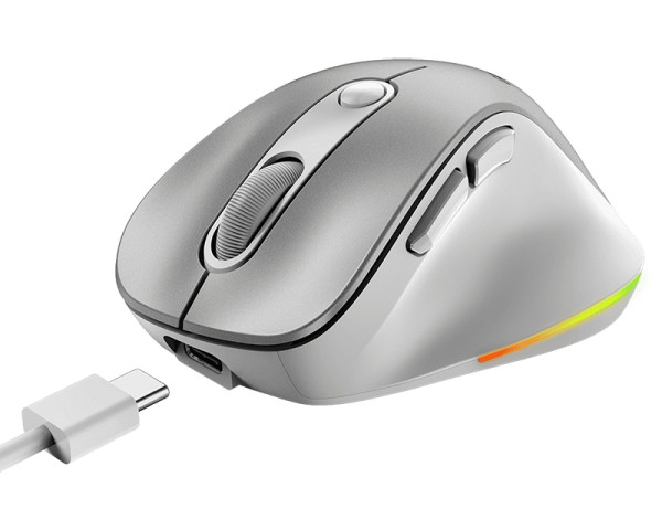 GENIUS Ergo 9000S Pro Silver USB Bežični sivi miš (MIS02068)