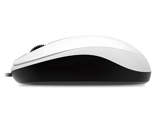 GENIUS DX-120 USB Optical beli miš (MIS01869)