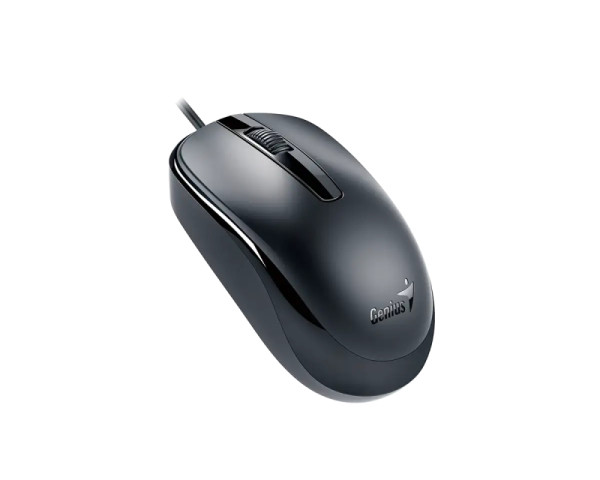 GENIUS DX-120 USB-C Optical crni miš (MIS02167)