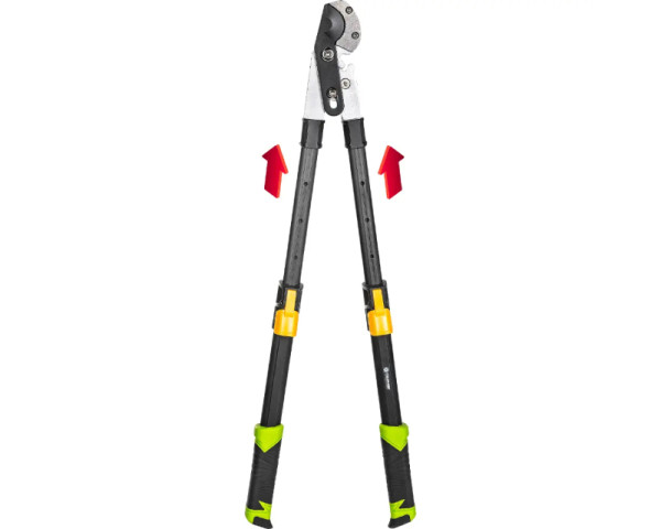 https://nt.rs/images/products/big/59938.jpg